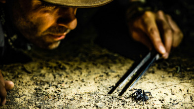 Coyote Peterson en lo...: Pesadillas de aracnofobia