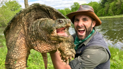 Coyote Peterson en lo...: La tortuga legendaria de Texas