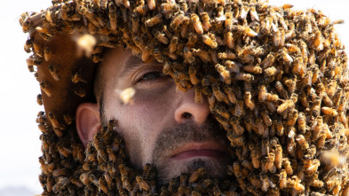 Coyote Peterson en lo...: Rodeado de abejas asesinas