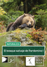 El bosque salvaje de Pardomino 