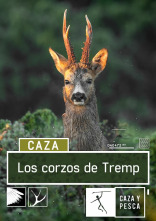 Los corzos de Tremp