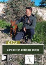 Conejos con podenco chico