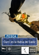 Curri en la bahía de Cádiz