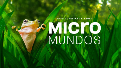 Micromundos 