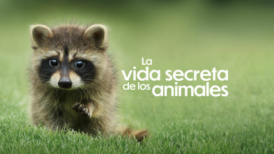 La vida secreta de los animales 