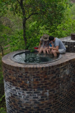 Casas vanguardistas: Sudáfrica: La Casa del Gran Arco