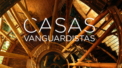 Casas vanguardistas 