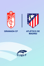 Jornada 17: Granada CF - Atlético de Madrid