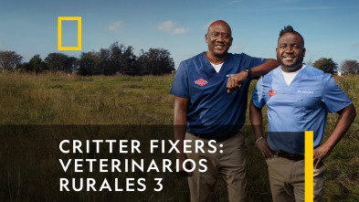 Critter fixers: Veterinarios rurales 