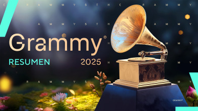 67th Annual Grammy Awards - Resumen