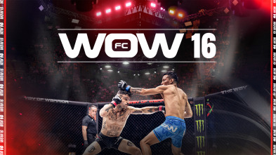 WOW 16 (Bilbao): Velada de Artes Marciales Mixtas