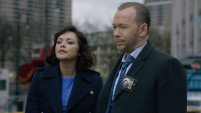 Blue Bloods (T14): Ep.12 Sin miedo ni favor