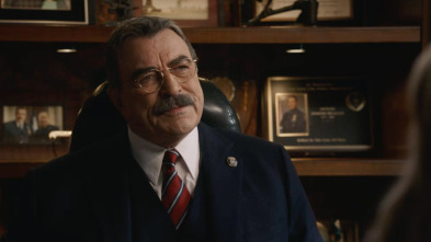 Blue Bloods (T14): Ep.13 De mal en peor