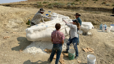 Cazadores de dinosaurios: En plena carrera