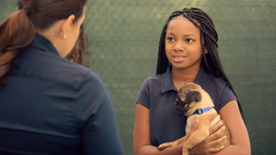 Cachorritos:... (T1): Pugsley