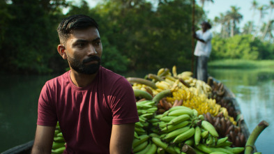 Ingredientes para la vida: Plátano