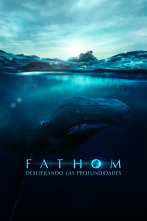 Fathom: descifrando las profundidades