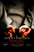 Daños y perjuicios (Damages) (T2)