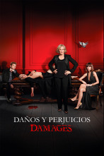 Daños y perjuicios (Damages) (T5)