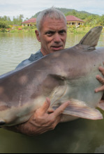 Monstruos de río: ¿Tiburón o cocodrilo?