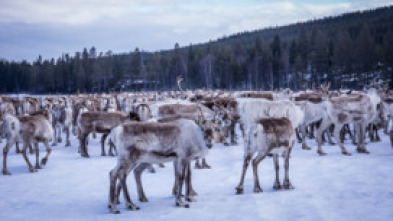 Europa: naturaleza...: El regreso de los titanes