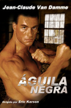 Águila negra