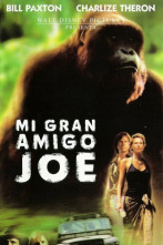 Mi gran amigo Joe