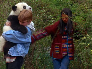 La gran aventura de los pandas