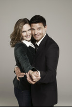 Bones (T5): Ep.12 La prueba del pudding