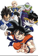 Dragon Ball Z (T5): Ep.92 ¡Hacerse aún más fuerte! El sueño de Goku es llegar a serlo