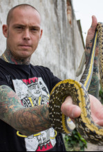 Serpientes en la ciudad: Cobra real de lujo