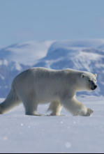 Islas: laboratorios de...: Isla de Baffin