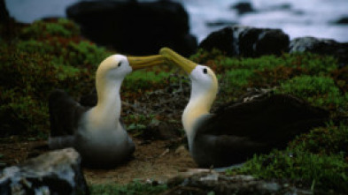 Los secretos naturales del ecuador 