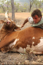 Un vaquero australiano: Un cocodrilo en el jardín