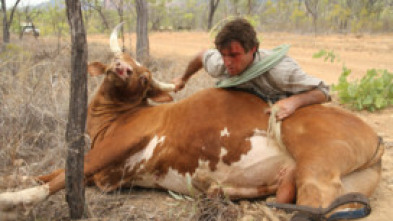 Un vaquero australiano: Ataque en el río Finnis