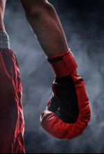 Boxeo: velada Lejarraga vs Skeete (2018)