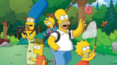 Los Simpson (T29): Ep.12 Homer está donde no está el arte