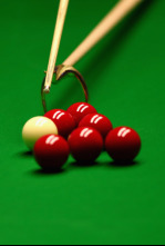 Abierto de Irlanda del Norte de snooker