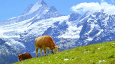Suiza, el corazón de los Alpes