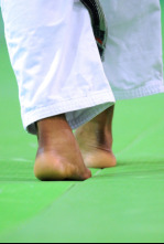 Judo Show (2024): 19/08/2024