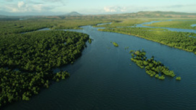 La vida secreta de los...: Madagascar: el bosque de los espíritus