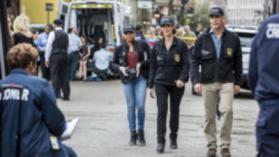 NCIS: Nueva Orleans (T2): Ep.8 Confluencia