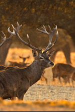 Extremadura, el paraíso natural de Europa