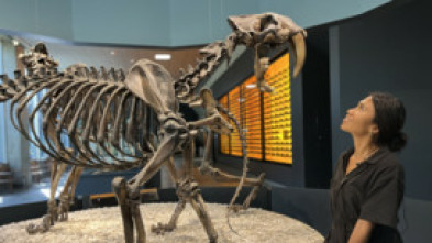 Bestias del pasado: Los secretos del T-Rex