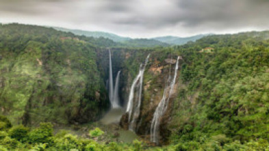 Descubrir: Tamil Nadu