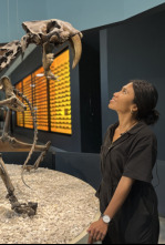 Bestias del pasado: Tigre dientes de sable