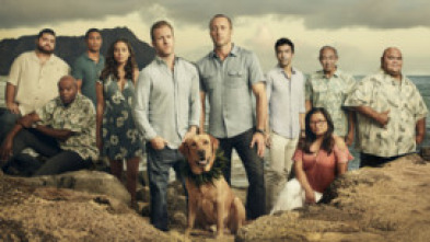 Hawai 5.0 (T9): Ep.13 Ke Iho Mai Nei Ko Luna (Los de arriba están descendiendo)