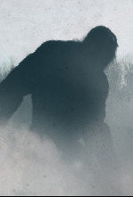 Bigfoot, asesino... (T1): Una médium infeliz