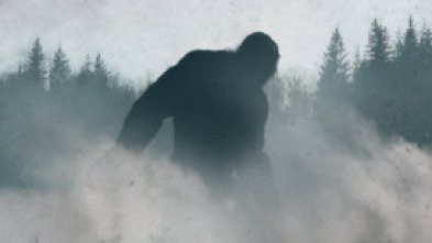 Bigfoot, asesino... (T1): S.O.S.