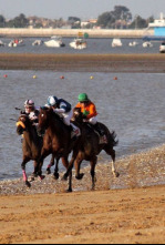 Carreras de Caballos de Sanlúcar